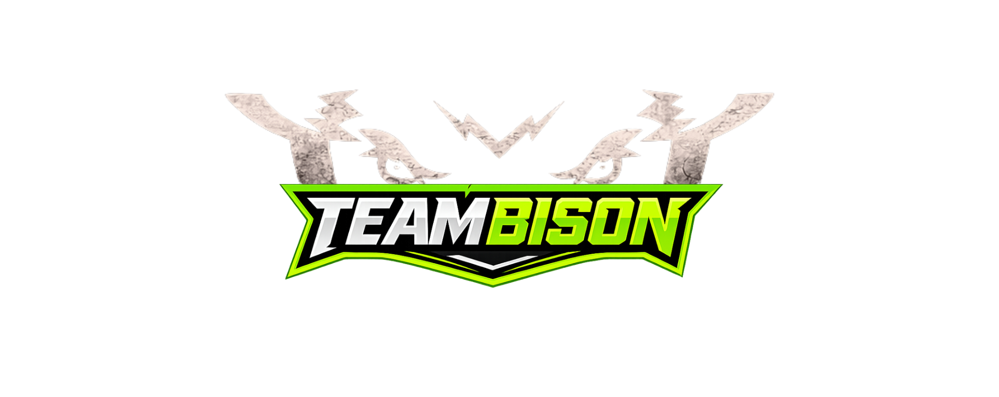 TeamBison Personal Training